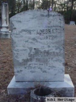 Jacob Leonard Hildebrand