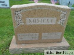 Catherine H. Kosicky