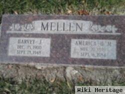 Harvey Joseph Mellen