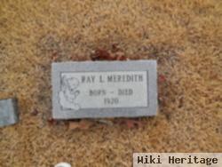 Ray Lavaine Meredith