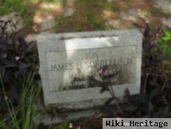 James H. Sorrells, Jr