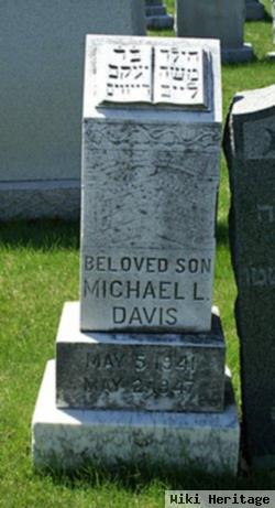 Michael L. Davis