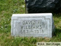 David F Williams