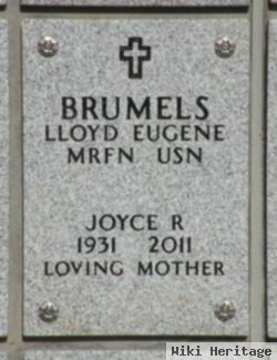 Joyce R Brumels