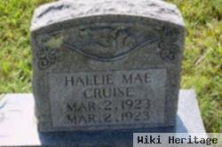 Hallie Mae Cruise