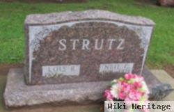 Neil Curtis Strutz