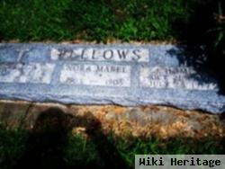 Helga Fellows