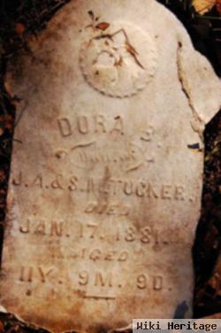 Dora B Tucker