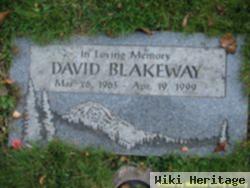 David Blakeway