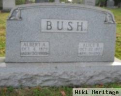 Albert A Bush