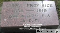 Harry Leroy Rice