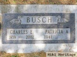 Charles E Busch