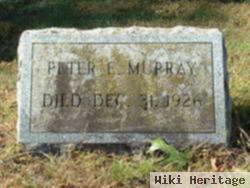 Peter E. Murray