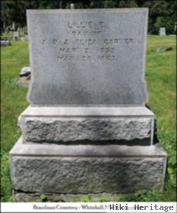 Lillie E. Carver