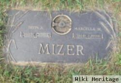 Marcella M Hutkowski Mizer