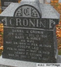 Mary A Hines Cronin