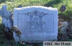 Theodore Leroy Anderson