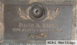 David A Estep