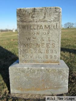 William J Mcnees