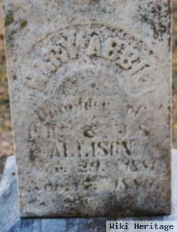 Mary Abbie "mamie" Allison