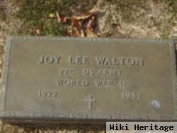 Joy Lee Walton