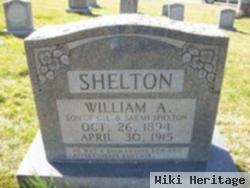William A. Shelton