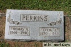 Celia Jane Boggs Perkins