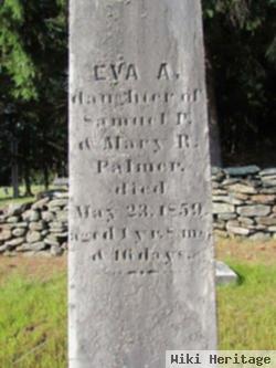 Eva A Palmer