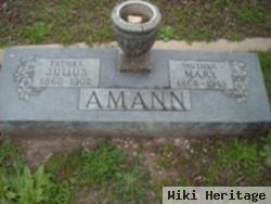 Julius Amann