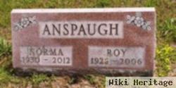 Roy Anspaugh