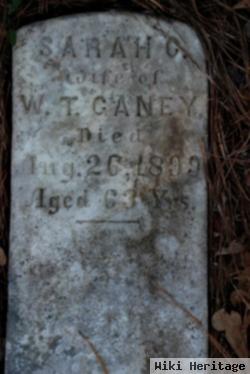 Sarah C Ganey