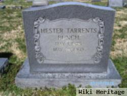 Hester Niobe Jane Tarrents Bunch