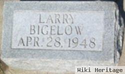 Larry Bigelow