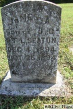 James A. Seaton