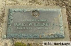 James W. Brickey, Sr