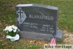 James J Blansfield