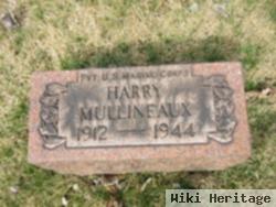 Harry Mullineaux