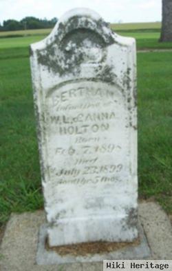 Bertha N Holton