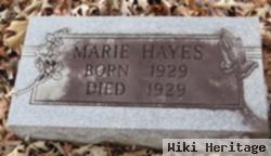 Marie Hayes