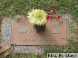 David Hubert Weigel