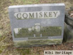 John Comiskey