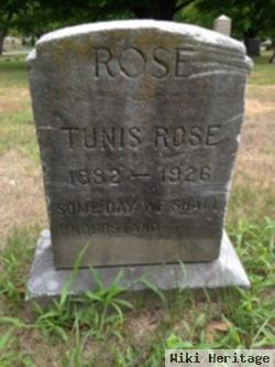 Tunis Rose