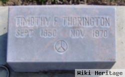 Timothy F Thorington