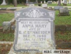 Anna Mary Schneider