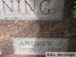 Andrew J Browning