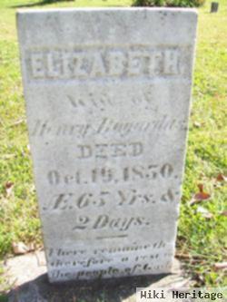 Elizabeth Bogardus