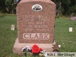 Richard Service Clark