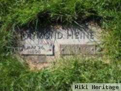 Raymond Henry Heine