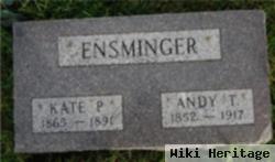 Andrew 'andy' T. Ensminger