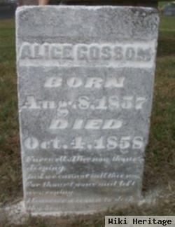 Alice Gossom